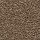Mohawk Carpet: Noteworthy Selection Timberlane